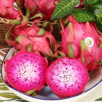 愛蜜果 雙色火龍果9-12入原裝箱 (約10斤/箱)