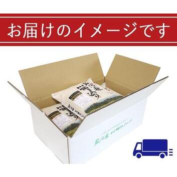 ふるさと納税 魚沼産川西こしひかり2kg×5　新潟県認証特別栽培米　令和５年度米 新潟県十日町市