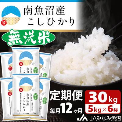 ふるさと納税 南魚沼市 ≪無洗米≫南魚沼産こしひかり 精米 30kg(5kg×6袋)全12回