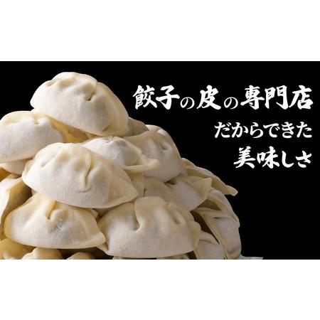 ふるさと納税 餃子 ・ 焼売 の皮 専門店の自信作！ 鹿児島県産 豚肉 の スタミナ 餃子　K033-003 中華 惣菜 総菜 レトルト 冷凍食品 加工食.. 鹿児島県鹿児島市