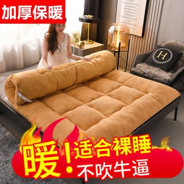 羊羔絨床墊軟墊加厚冬季單人學生宿舍家用榻榻米床褥子可折疊墊被
