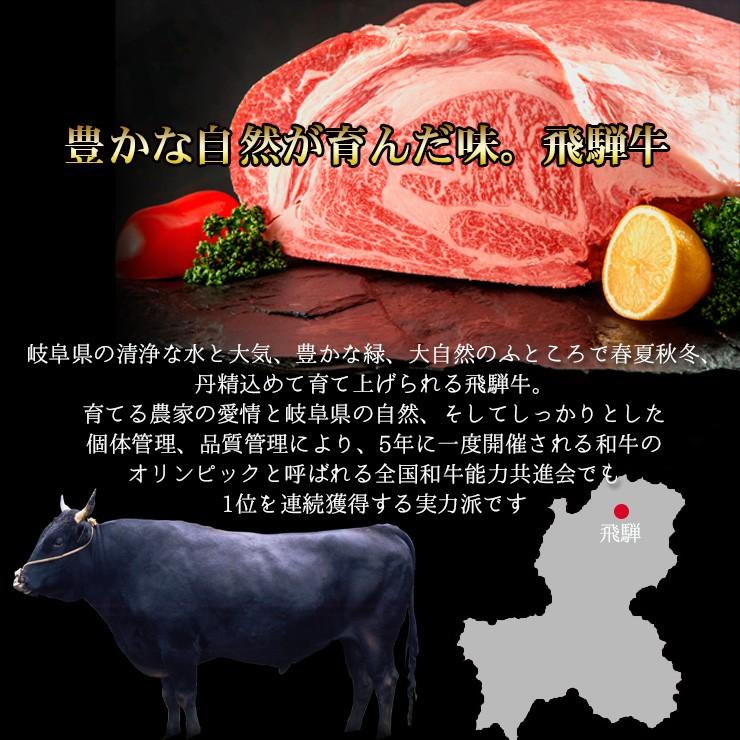 肉 牛肉 飛騨牛 牛丼の具 180g×5袋 レトルト 簡単調理 黒毛和牛 ギフト ストック お取り寄せ グルメ