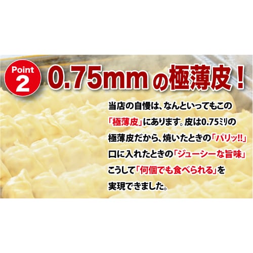 定番人気「健太餃子」詰合せ 64個