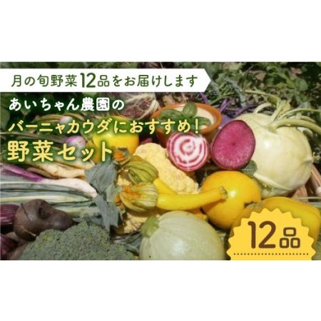 ふるさと納税 「バーニャカウダなどに♪」あいちゃん農園のお野菜の詰め合わせ [FAA029] 佐賀県吉野ヶ里町