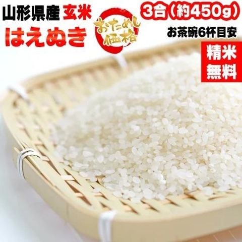 新米 お米 ポイント消化  米 送料無料 はえぬき 無洗米 450g (3合) 令和5年産 山形県産 白米 無洗米 分づき 玄米 当日精米 真空パック メール便 ゆうパケ