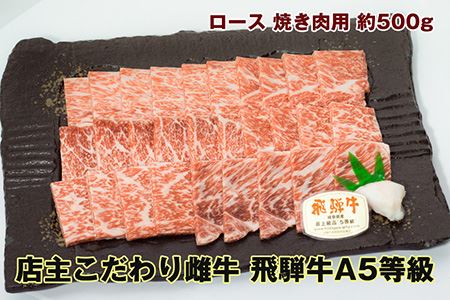 店主こだわり雌牛 飛騨牛A5等級　ロース　焼肉用　約500g [No.038]