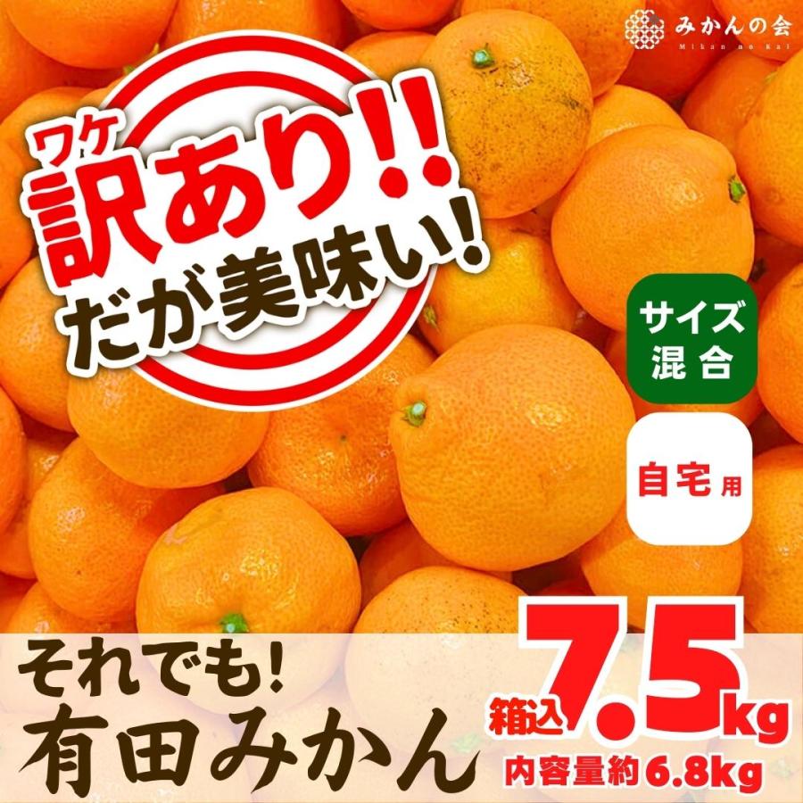 訳あり それでも みかん  箱込 7.5kg 内容量 6.8kg サイズミックス Ｂ品 有田みかん 和歌山県産 産地直送 家庭用