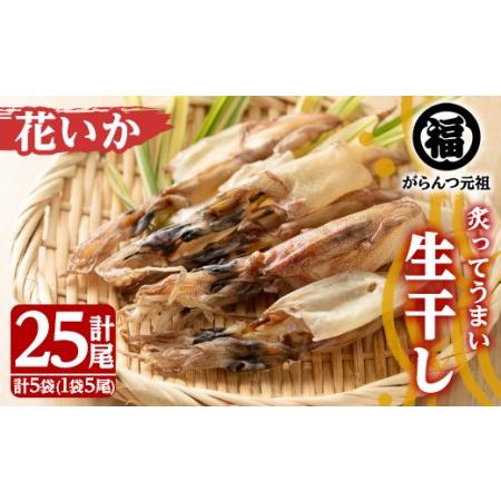 ふるさと納税 akune-2-209 鹿児島県阿久根市産生干し「花いか」(計25尾・5尾×5袋)国産 魚介 干物 ひもの イカ 烏賊 がらんつ干物【マル.. 鹿児島県阿久根市