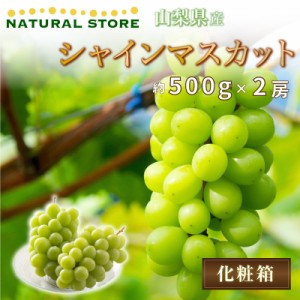 [最短順次発送]  シャインマスカット 2房 1kg 山梨産 種なし 皮ごと 500g前後×2房 産地 贈り物  秋ギフト  果実ギフト