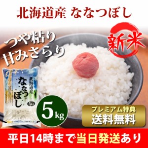 新米 米 5kg 北海道産 ななつぼし 1等米 令和5年産 お米 5kg プレミアム特典 送料無料 北海道・沖縄配送不可 即日発送 クーポン対象 5キ