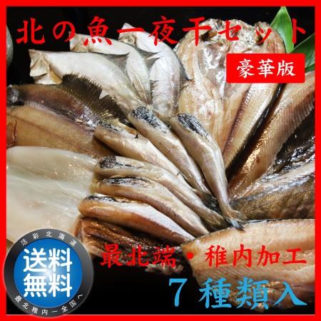 干物 一夜干し 詰合せ 送料無料 ギフト 贈り物 真空 海産物 北の魚 一夜干し 豪華 セット