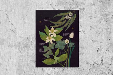 複製畫-花的呢喃圖鑑/海報/掛畫/家飾