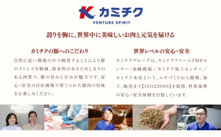 畜産王国鹿児島の 豚ロース 生姜焼き用 1.75kg ★年内配送★ 肉 お肉 炒め物 生姜焼き 豚肉 かごしま 鹿児島県産 スライス グルメ 冷凍 国産 カミチク 南さつま市