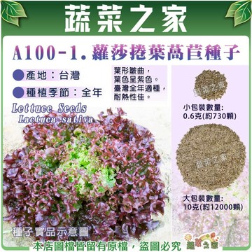 【蔬菜之家】A100-1.蘿莎捲葉萵苣種子(共兩種包裝可選)