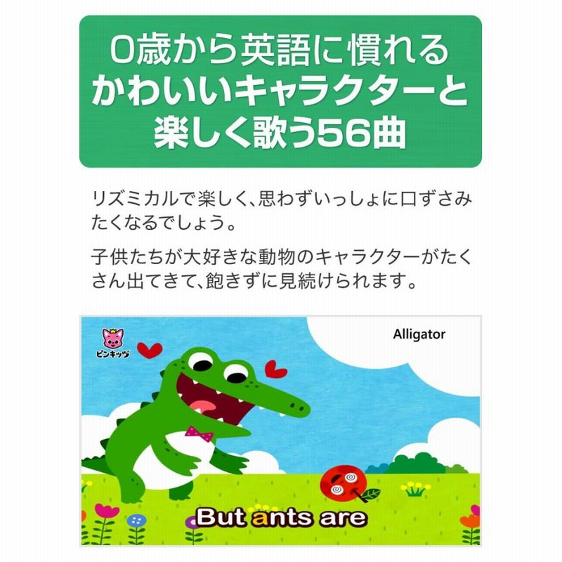 Pinkfong Fun Phonics for Kids DVD 幼児英語 フォニックス 子供 英語