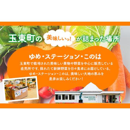 ふるさと納税  季節の野菜詰め合わせセット 8〜10品目 《お申込み月の翌月から出荷開始》ゆめ・ステーション・このは 旬の野菜 .. 熊本県玉東町