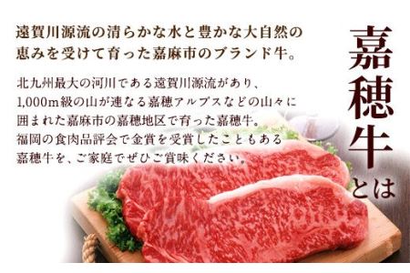 嘉穂牛 赤身 ステーキ 約400g 牛肉