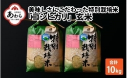 コシヒカリ 玄米 5kg×2袋（計10kg） 特別栽培米 農薬不使用 化学肥料不使用 ／ 高品質 鮮度抜群 福井県産 ブランド米