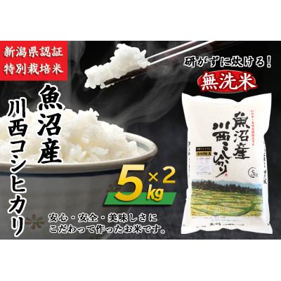 ふるさと納税 十日町市 新潟県認証米　新潟県魚沼産 川西こしひかり 5kg×2袋