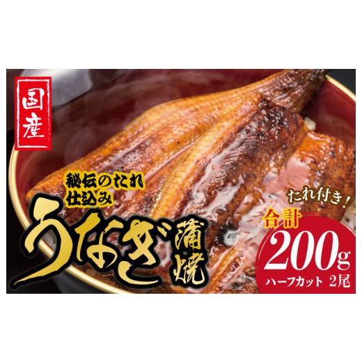 ふるさと納税 大阪府 泉佐野市 国産うなぎ ハーフカット 合計 200g