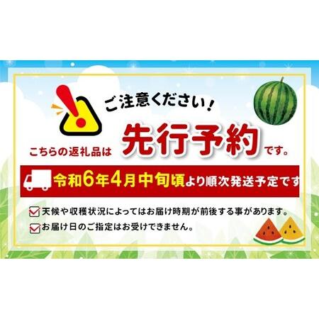 ふるさと納税 小玉スイカ（赤色）2玉 熊本県和水町産  熊本県和水町