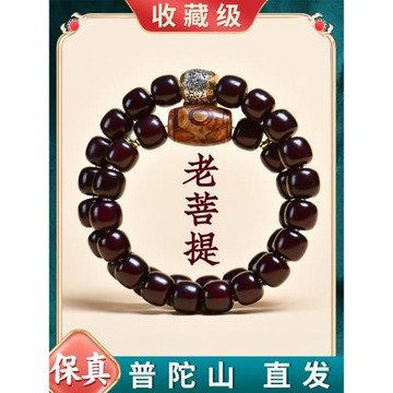 (免運)普陀山天珠菩提手串文玩佛珠男士菩提根念珠盤玩手鏈女新中式禮物