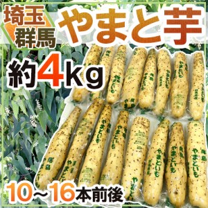 群馬・埼玉 ”やまと芋” 約4kg 10～16本前後 やまといも 山芋 長芋 送料無料