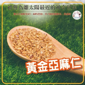 ✨黃金亞麻籽仁 金亞麻籽 600克 高纖維 生亞麻子仁 亞麻籽 亞麻仁子 黃金亞麻子 黃金亞麻仁【揪愛零食】