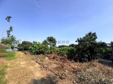 大樹三和段|方正丙種建地｜高雄市大樹區三和段