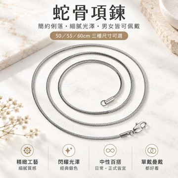 【當天出】潮流配飾蛇骨鏈 冷淡風小眾款項鏈 男女同款配飾 嘻哈風實心情侶項鏈 流行百搭配飾