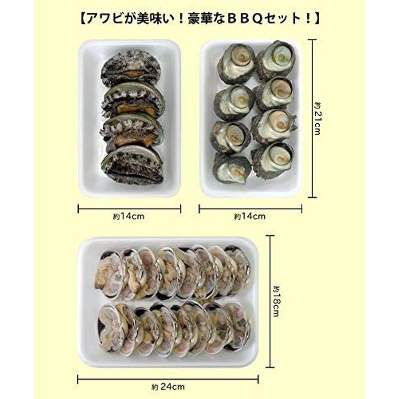 アワビが美味い豪華なＢＢＱセット（アワビ4個サザエ8個大アサリ8個）魚介類