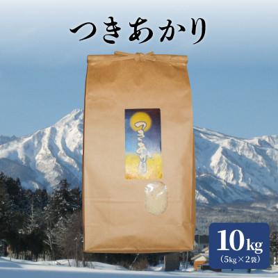 ふるさと納税 上越市 標高200mで育てた棚田米|令和5年産・新潟上越産・早生品種つきあかり精米10kg(5kg×2袋)