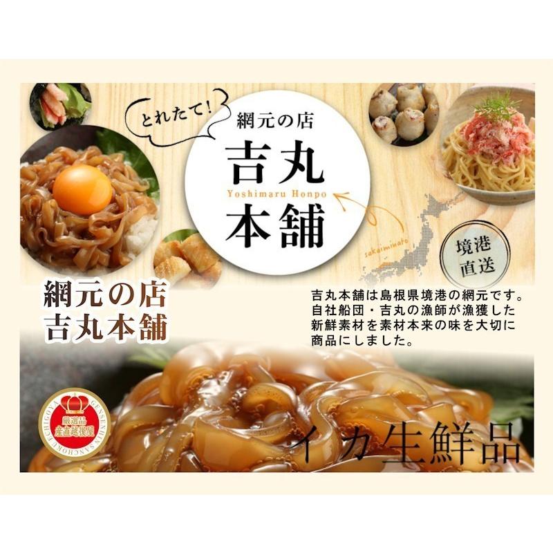 魚介類 水産加工品 いか竜田揚げ 鳥取県 堺港市 網元吉丸水産 やわらかいか竜田揚げ 150g 1パック 冷凍保存 送料無料