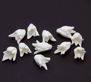 白芽百合花珠，白花珠1.5-1.7cm百合花珠