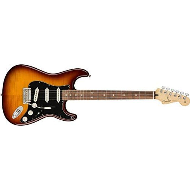 Fender エレキギター Player Stratocaster? Plus Top, Pau Ferro Fingerboard, To