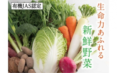 1209 有機JAS認定 冬野菜とお米の詰め合わせセット