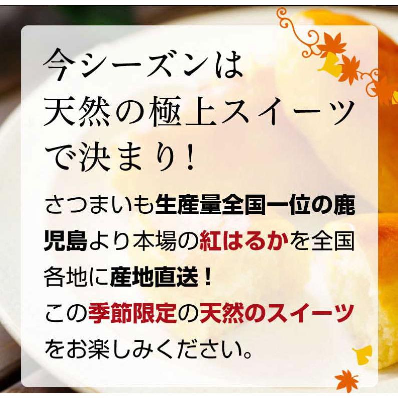 さつまいも 紅はるか A品 生芋M Lサイズ混合 130g〜300ｇ土つき 鹿児島 産地直送 5kg×1箱 送料無料 S常