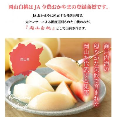 ふるさと納税 岡山市 岡山白桃 エース 3玉×200g(Lサイズ )岡山県産