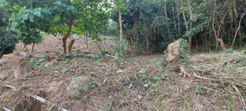 美濃廣興農地｜高雄市美濃區廣興段