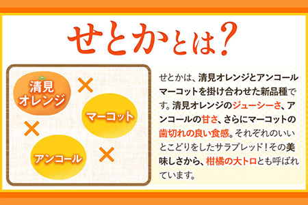 一度は食べていただきたい! 有田産のせとか 青秀以上 約4～5kg （サイズおまかせ） 厳選館 《2024年2月下旬-4月上旬頃より順次出荷》 和歌山県 日高川町 せとか 柑橘 有田産---wshg_genseto_l24_22_19000_5kg---