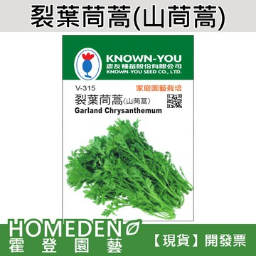 【隔日到貨】裂葉茼蒿(山茼蒿) V-315 蔬菜種子 農友牌 小包裝種子 1g/包【HOMEDEN霍登園藝】