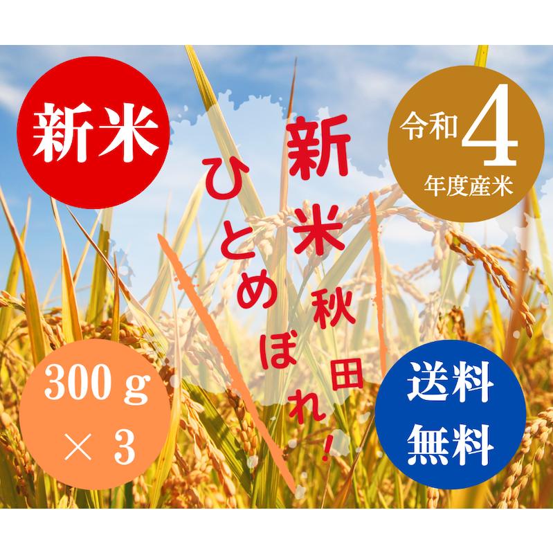 送料無料 令和５年度米 渡部浩見 漢方農法 特別栽培米 ひとめぼれ ３００g ３パック