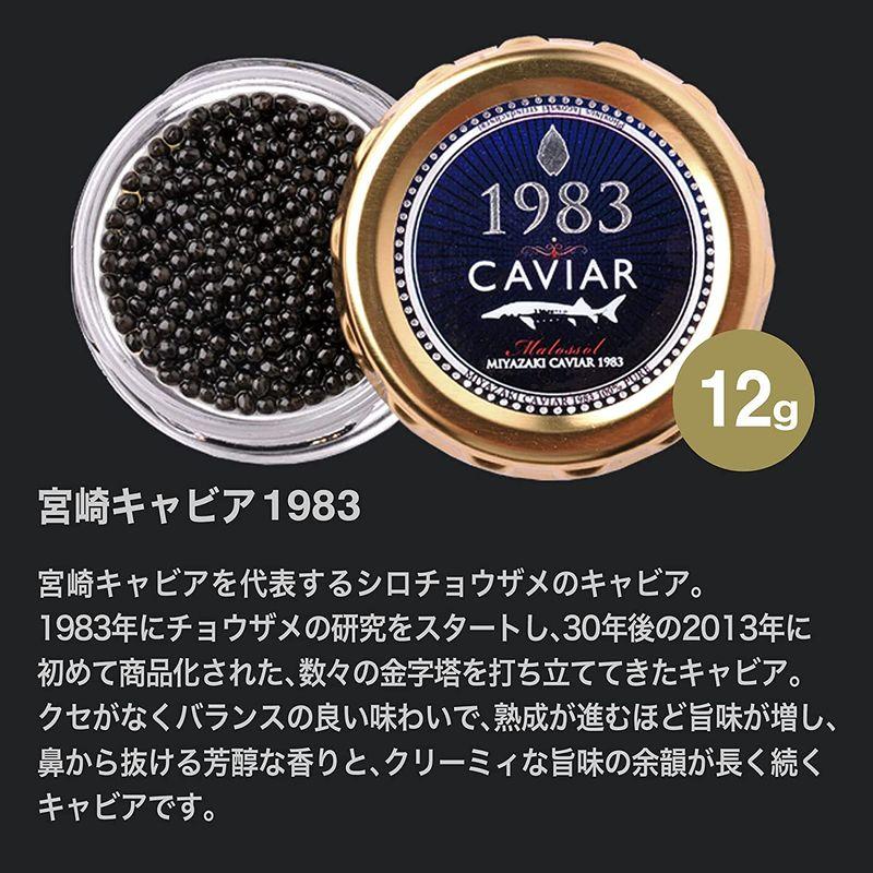 バレンタイン ギフト 宮崎キャビア 1983 2種 食べ比べ セット 化粧箱入り 各12g   国産   高級ギフト 贈り物 贈答用