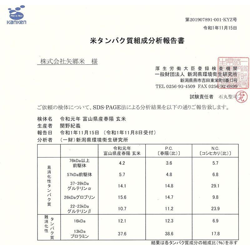 白米富山県産「低たんぱく米」「低グルテリン米」春陽（令和4年産）5kg