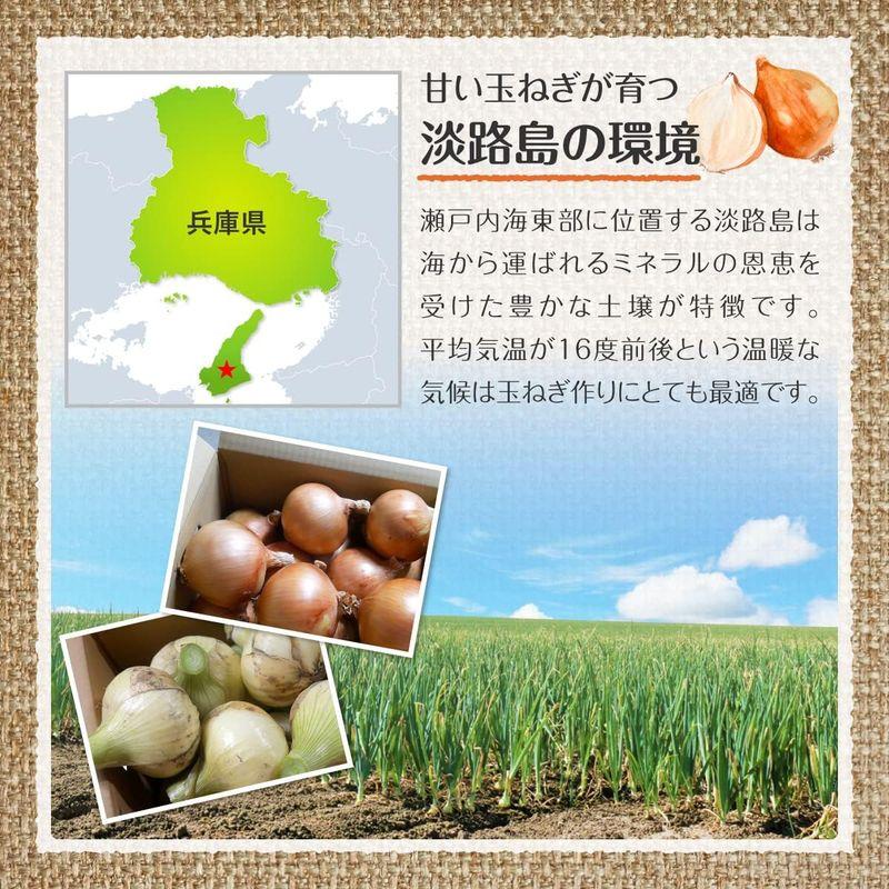 玉葱 兵庫県淡路島産 高糖度 瑞々しい 柔らかい 食べやすい 長期保存 豊富なレシピ (逸品たまねぎ 3キロ)