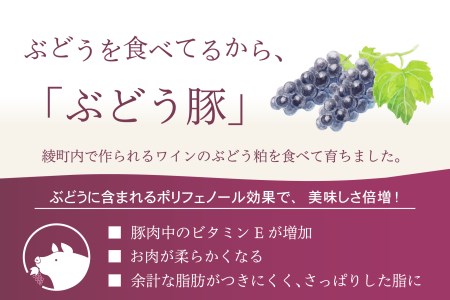 綾ぶどう豚のバラ＆ロースお試しセット（22-28）