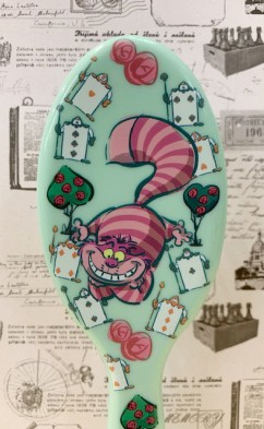 【震撼精品百貨】愛麗絲夢遊仙境_Alice~迪士尼公主系列證件套-梳子-妙妙貓#21483