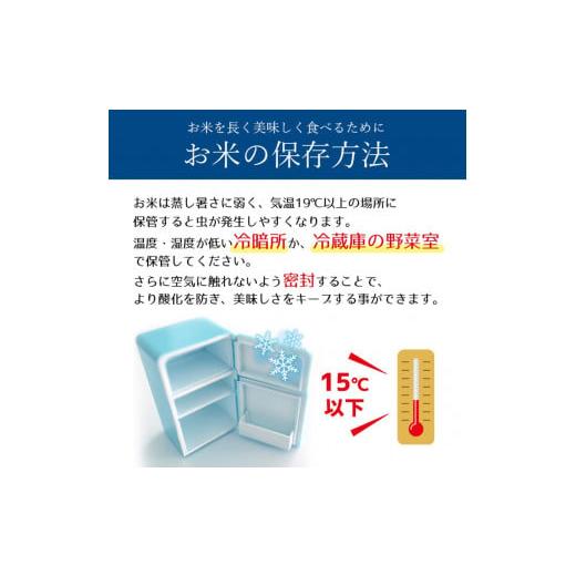 ふるさと納税 栃木県 真岡市 栃木県産 こしひかり 10kg×3回 真岡市 栃木県 送料無料