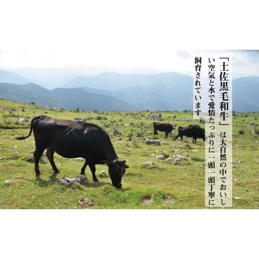 ふるさと納税 高知県 須崎市 国産 霜降り 黒毛和牛 A4 A5 等級 もも肉 1.2kg 国産牛 もも 牛肉 和牛 土佐黒毛和牛 最上位等級 霜降り肉 焼肉 バーベキュー B…