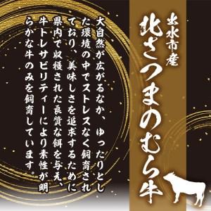 ふるさと納税 i315 ≪鹿児島県産黒毛和牛≫出水市産北さつまのむら牛 黒毛和牛サーロインステーキ(計600g・200g×3枚)肉質のきめが細かく.. 鹿児島県出水市